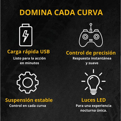 Coche RC Profesional 1:24